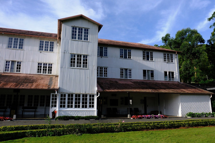 Sri Lanka tea plantation